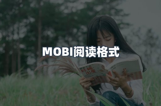 EPUB电子书